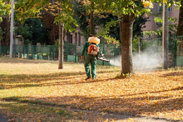 Pest Control for Restaurants in Hudson, IL